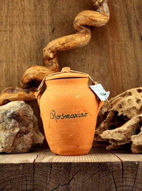 Rosmarino (20g)