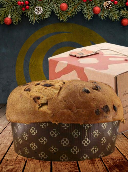 Panettone al cioccolato e abbardente